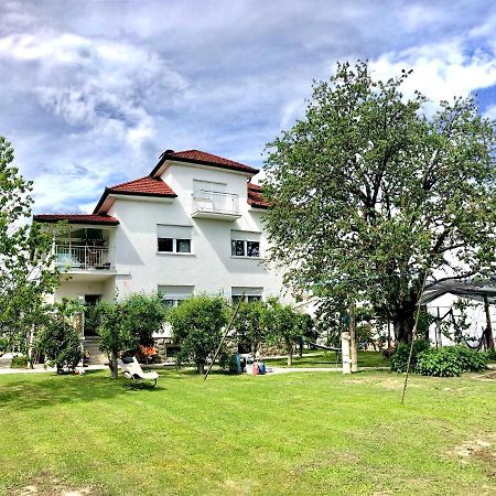Apartments Andrej Ptuj Zewnętrze zdjęcie